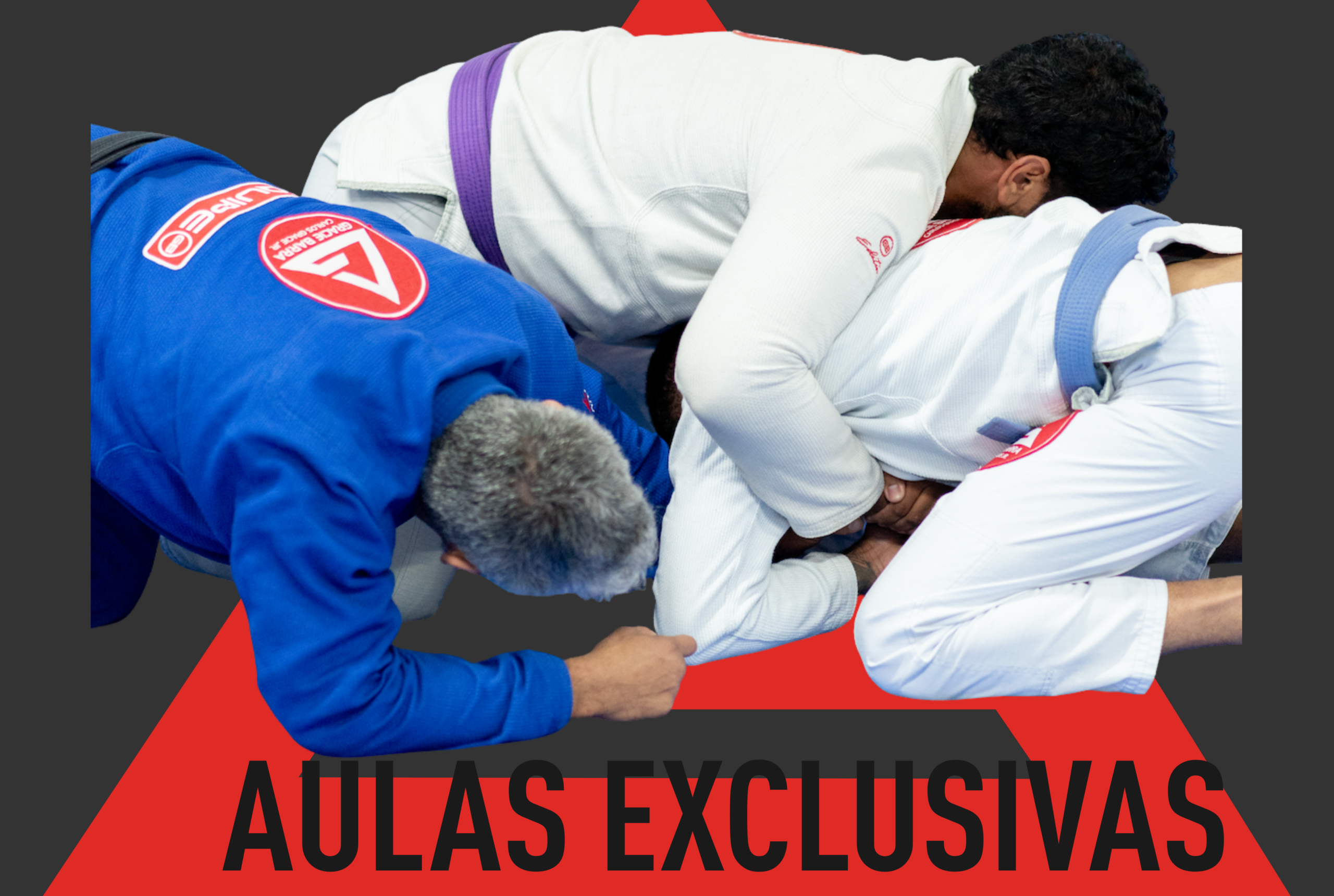 PRIVATE_CLASS_imagem